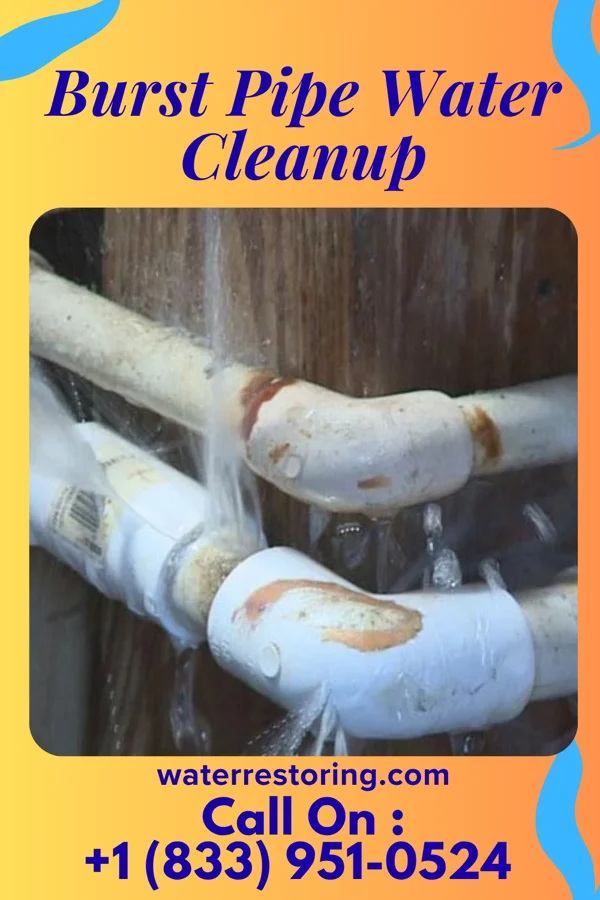 Burst Pipe Water Cleanup in Quinwood, WV