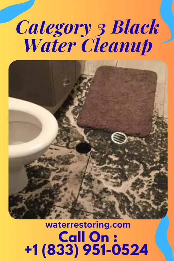 Category 3 Black Water Cleanup in Quinwood, WV