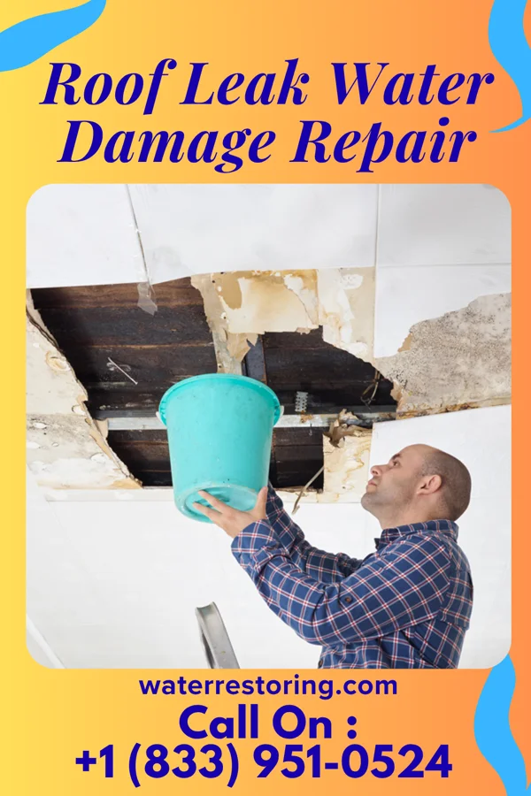 Roof Leak Water Damage Repair in Quinwood, WV
