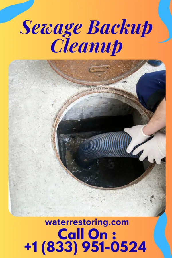 Sewage Backup Cleanup in Quinwood, WV