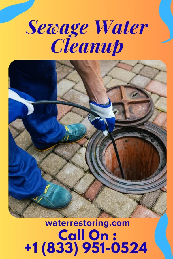 Sewage Water Cleanup in Quinwood, WV