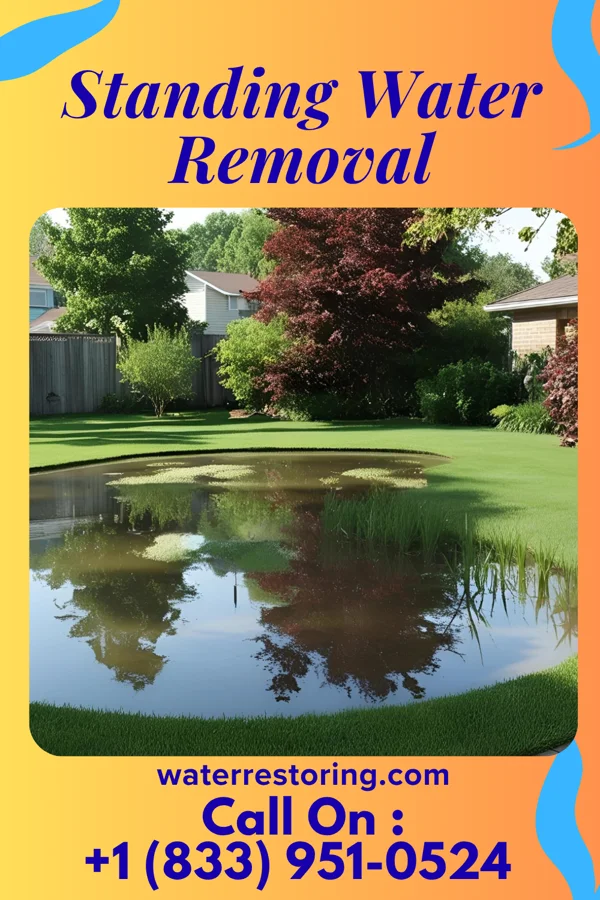 Standing Water Removal in Quinwood, WV